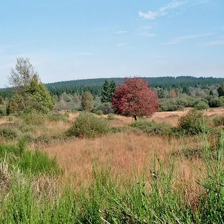 Haus Panoramablick - 2 Apartment