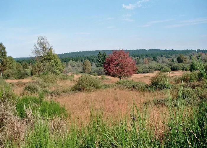 Haus Panoramablick - 2 公寓