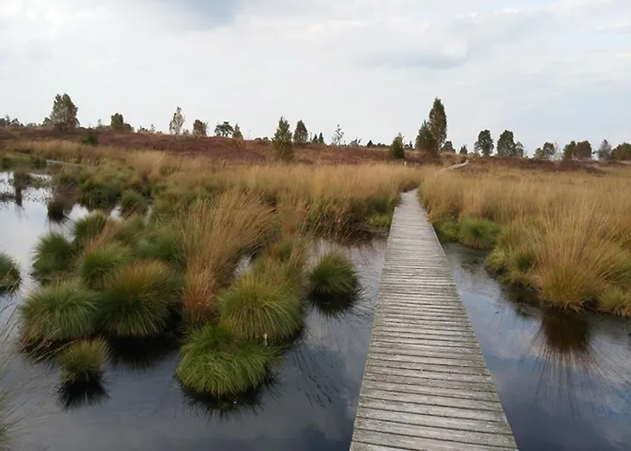 Haus Panoramablick - 2 公寓